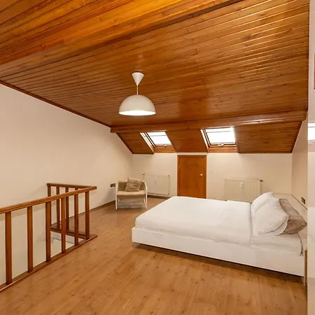 Grand Opera Istanbulská provincie